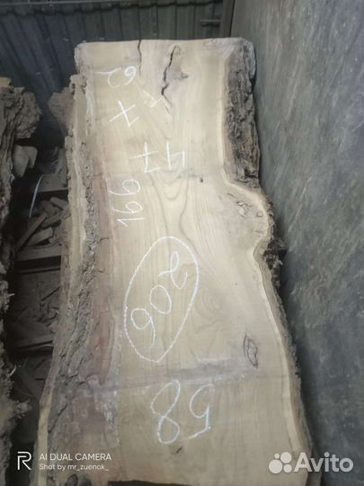 Слэб дерева Каповый карагач