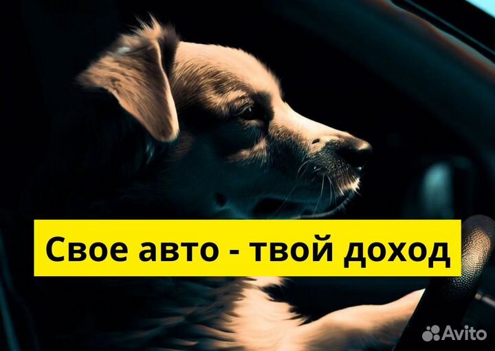 Ищем водителя с автомобилем для яндексgo