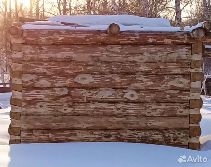 Сруб башкирский лес