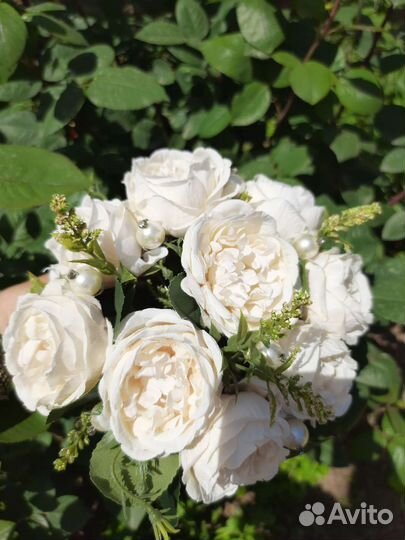 Букет невесты или свидетельницы