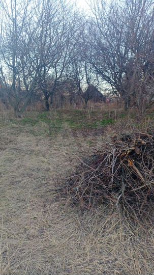 Участок 40 сот. (ИЖС)
