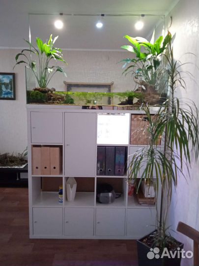 Аквариум, паллюдариум + стеллаж IKEA
