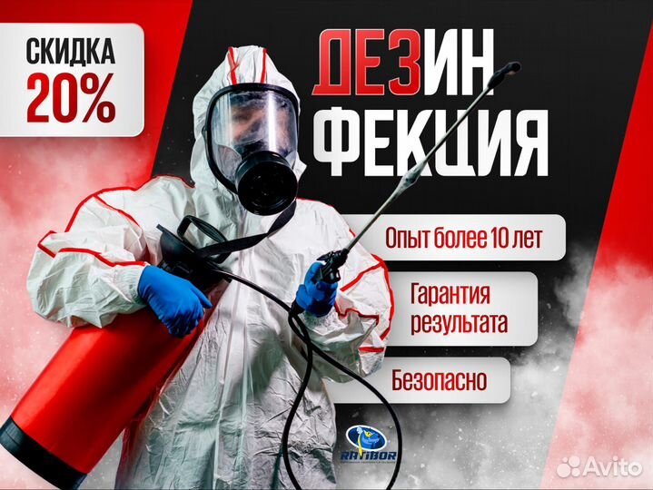 Уничтожение тараканов обработка от клопов муравьев