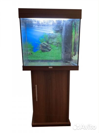 Аквариум с тумбой juwel 120 л