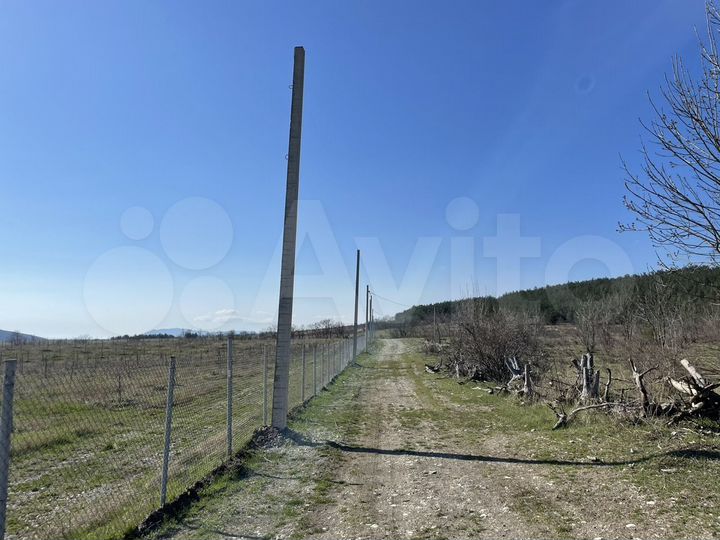 Участок 8 сот. (СНТ, ДНП)