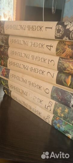 Энциклопедия