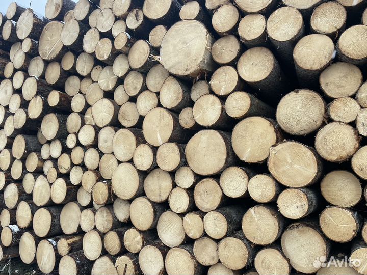 Пиловочник лес кругляк