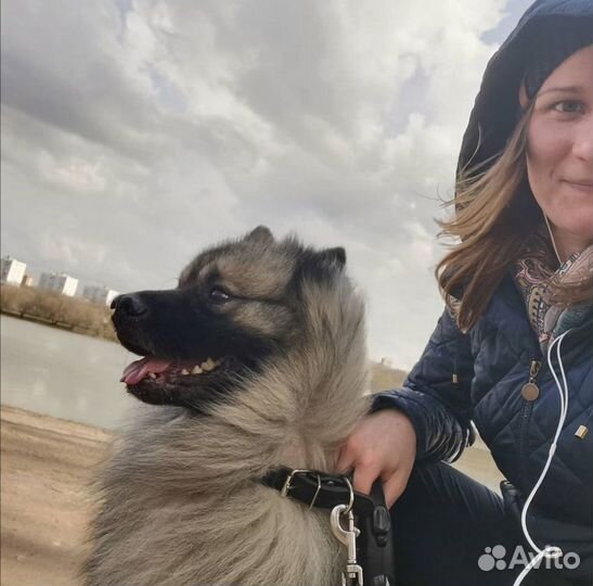 Передержка, выгул, кормление. Отпуск,выходные