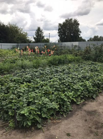 Дача 20 м² на участке 6 сот.