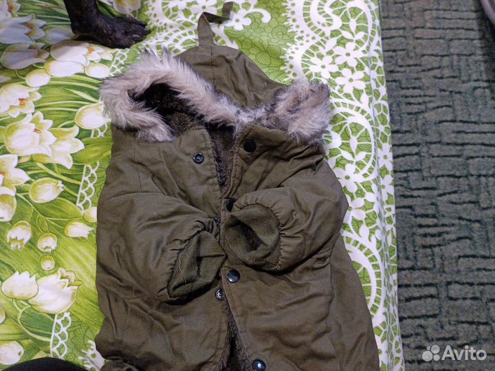 Парка для собак