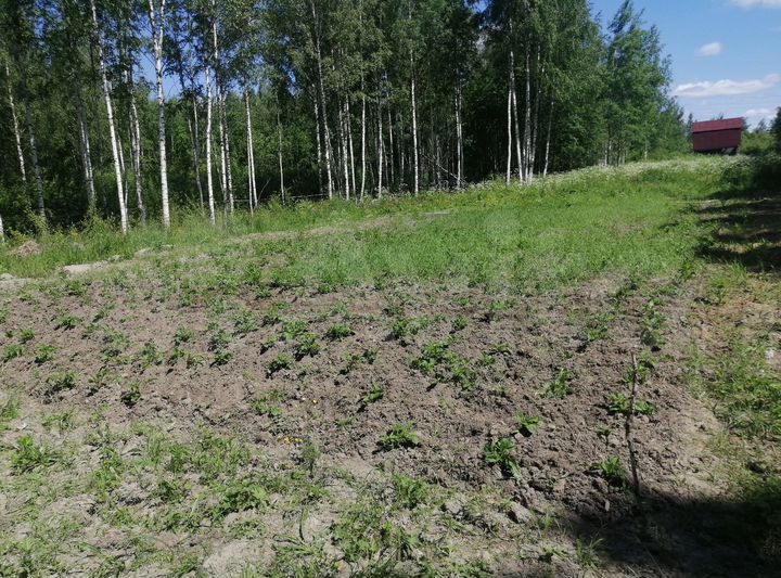 Участок 20 сот. (ИЖС)