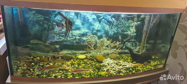 Аквариум с тумбой