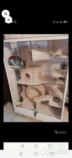 Витрина для домашних грызунов : шиншилл, дегу