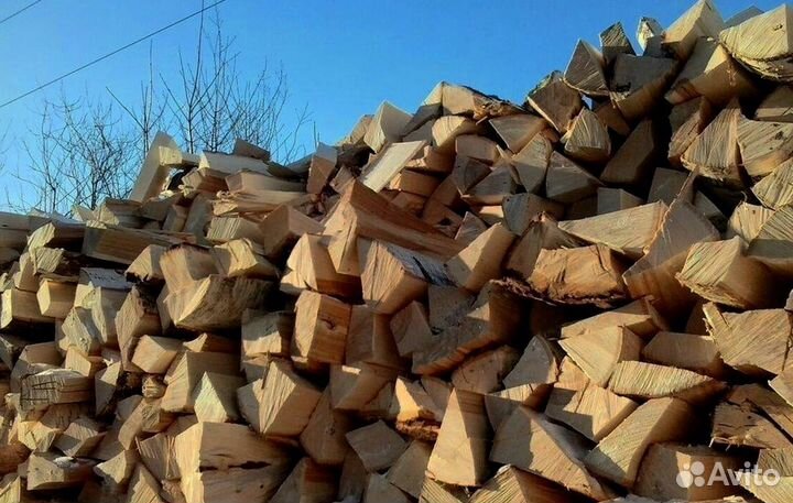 Дрова Береза