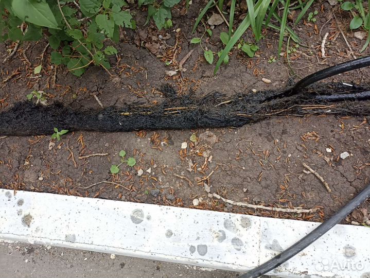 Прочистка канализации видеоинспекция разморозка