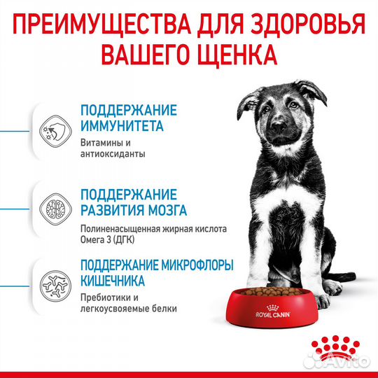 3 кг, Royal Canin Puppy Maxi