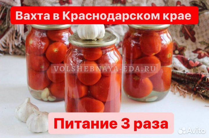 Разнорабочие вахтой.Купим билет