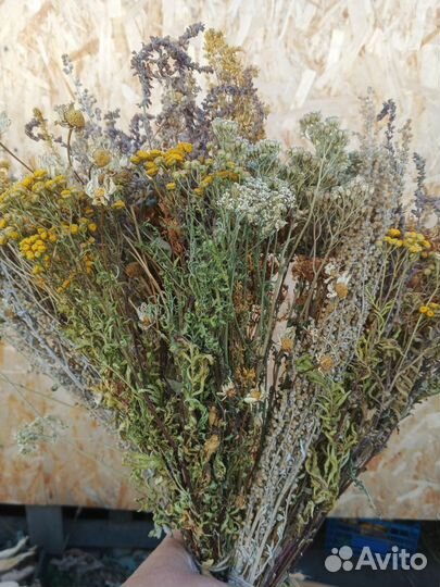 Травяные веники, запарки для бани