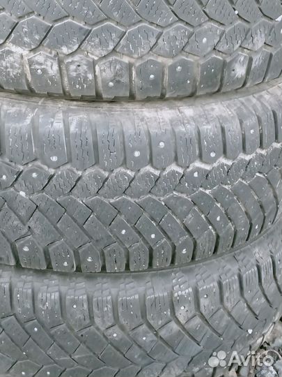 Gislaved Nord Frost 200 195/65 R15