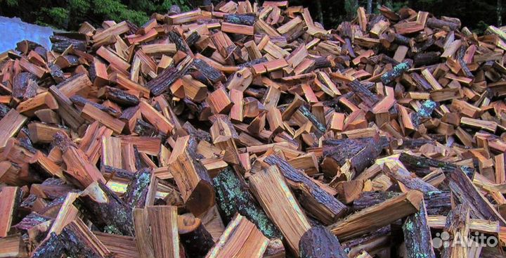 Дрова осина