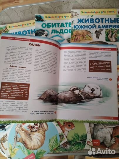 Энциклопедия для детей