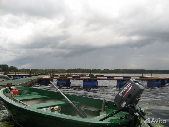 Лагуна. Лодка стеклопластиковая