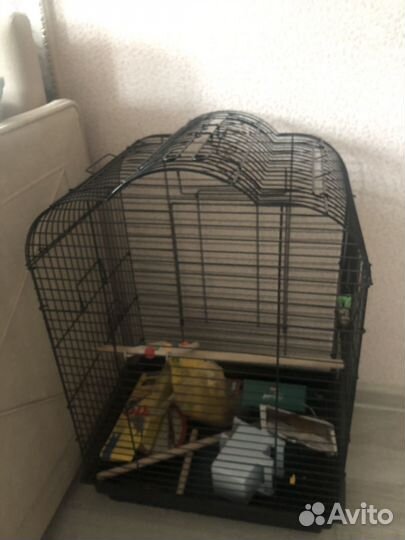 Клетка для попугая корелла