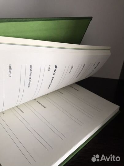 Ежедневник Веденеевой