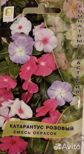 Катарантус семена