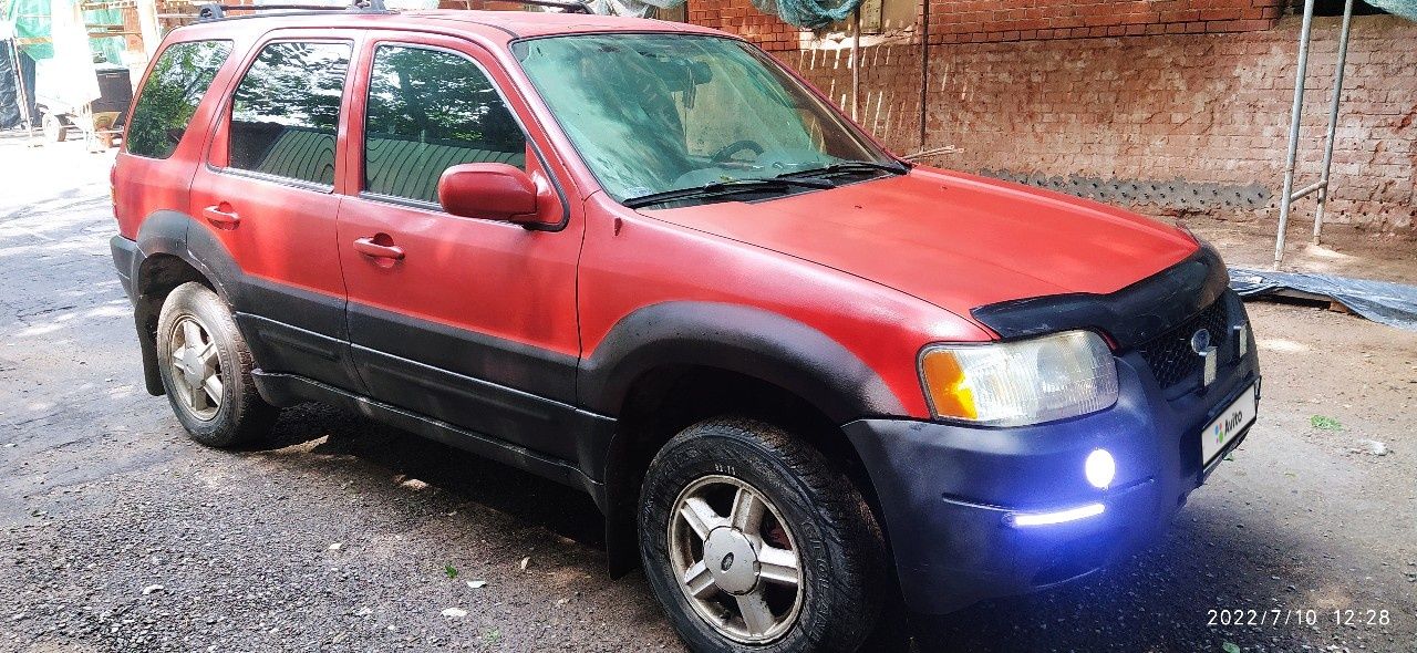 Ford Escape: фото владельца