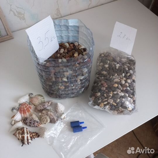 Аквариумные рыбки гуппи