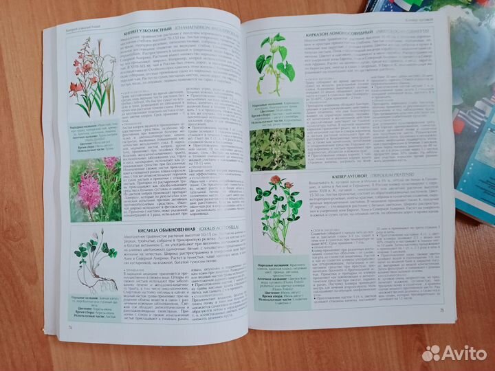 Книги. Журналы