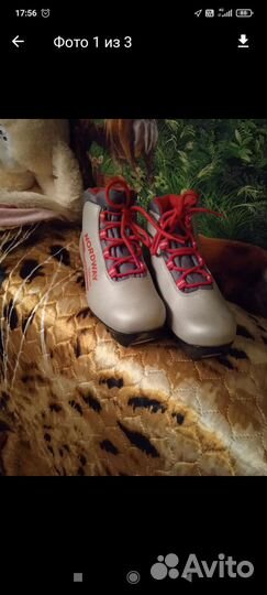 Лыжные ботинки