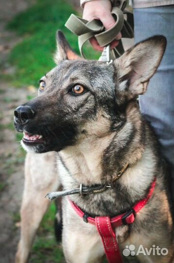 Тата в добрые руки
