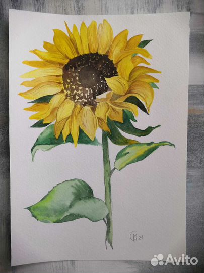 Акварельная открытка. Подсолнух. 20х30 см