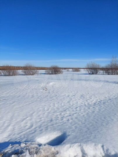 Участок 6 га (СНТ, ДНП)