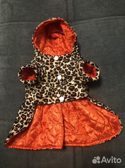 Одежда для собаки