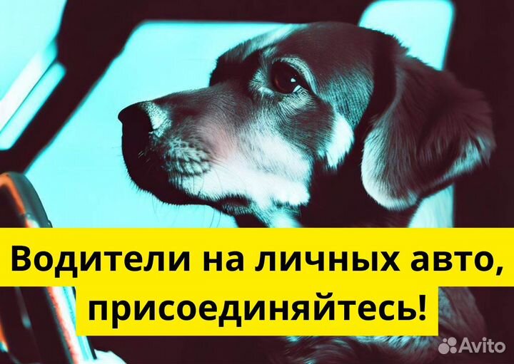 Вакансия для водителей с авто в Яндекс