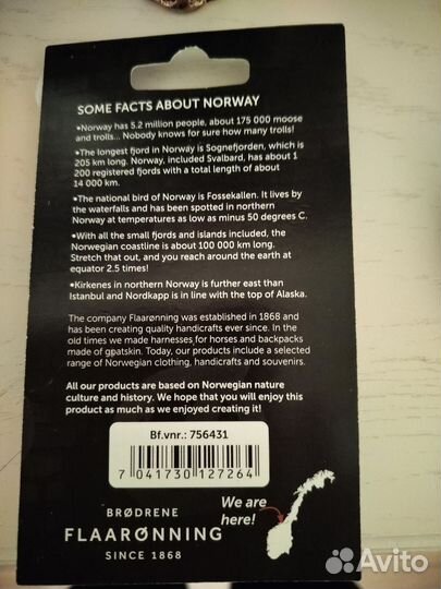 Магнит из Норвегии