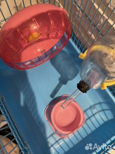 Клетка для грызунов