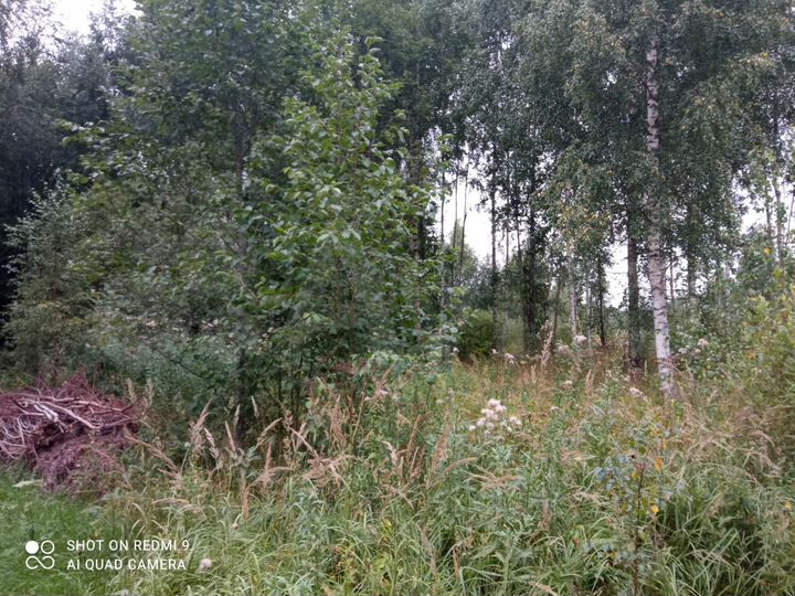 Участок 15,3 сот. (СНТ, ДНП)