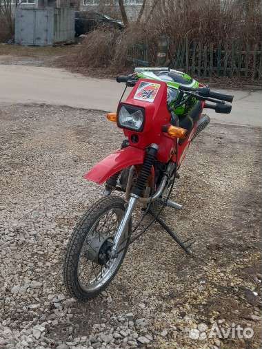 Зид пилот 50