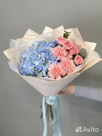 Готензия голландия