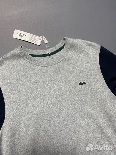 Свитшот Lacoste мужской