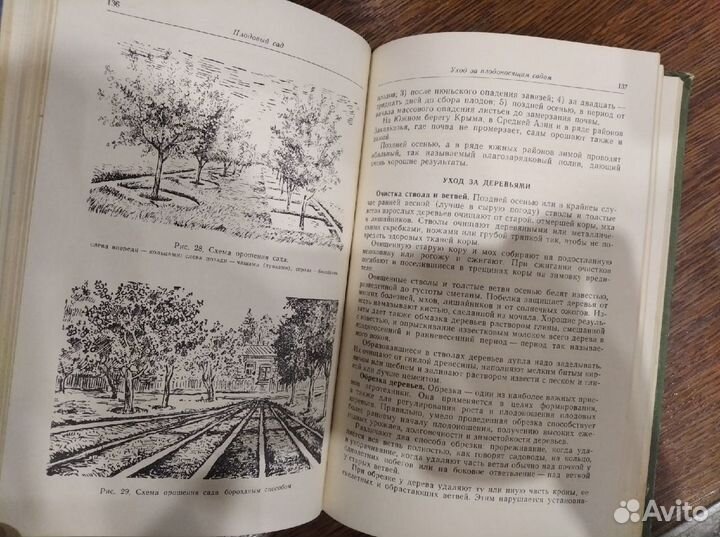 Справочник по садоводству 1960 Антиквариат