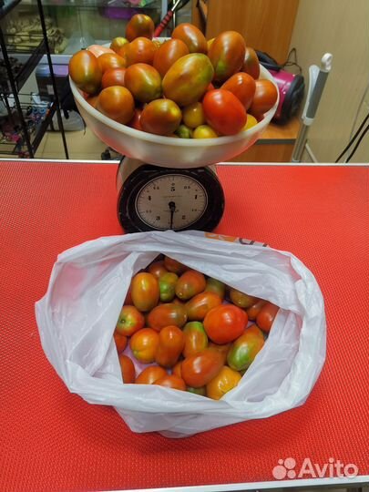 Помидоры домашние