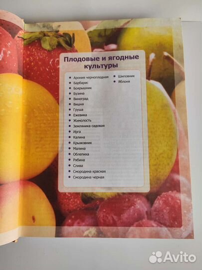 Энциклопедия дачника, 10 000 полезных советов