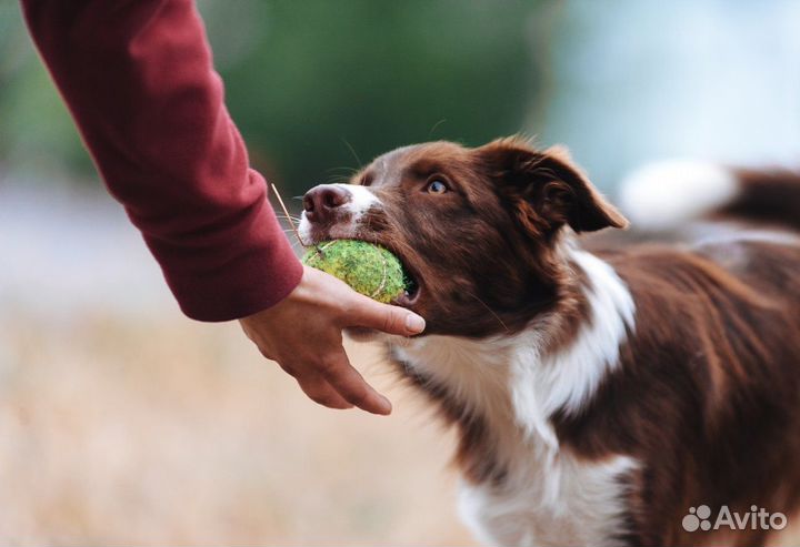 Видеонаблюдение в частный дом
