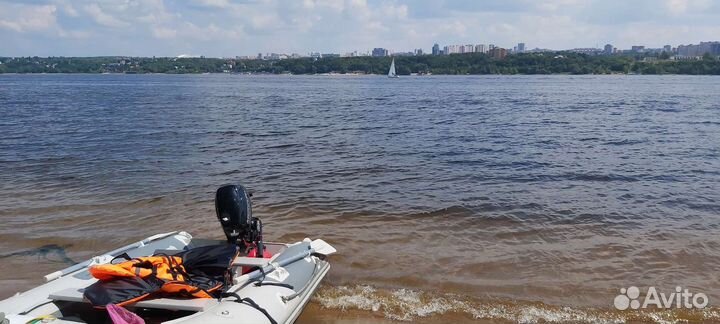 Badger fl330 и Mercury f6mh