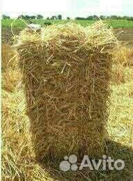 Отличное качество, солома и сено
